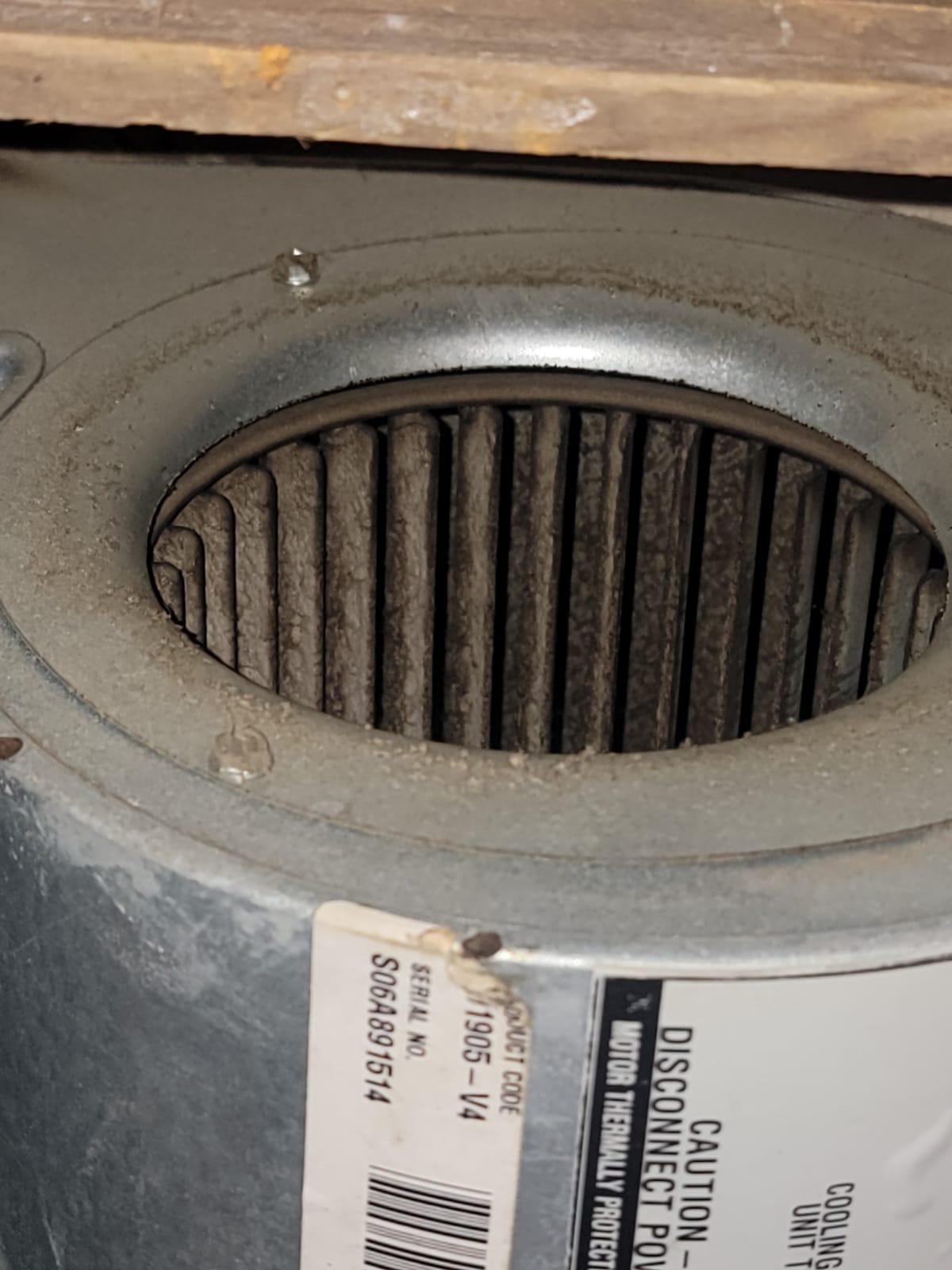 AC Motors - hvac blower motor cleaning maintenance